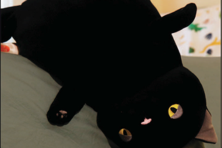 Image of stuffed cat