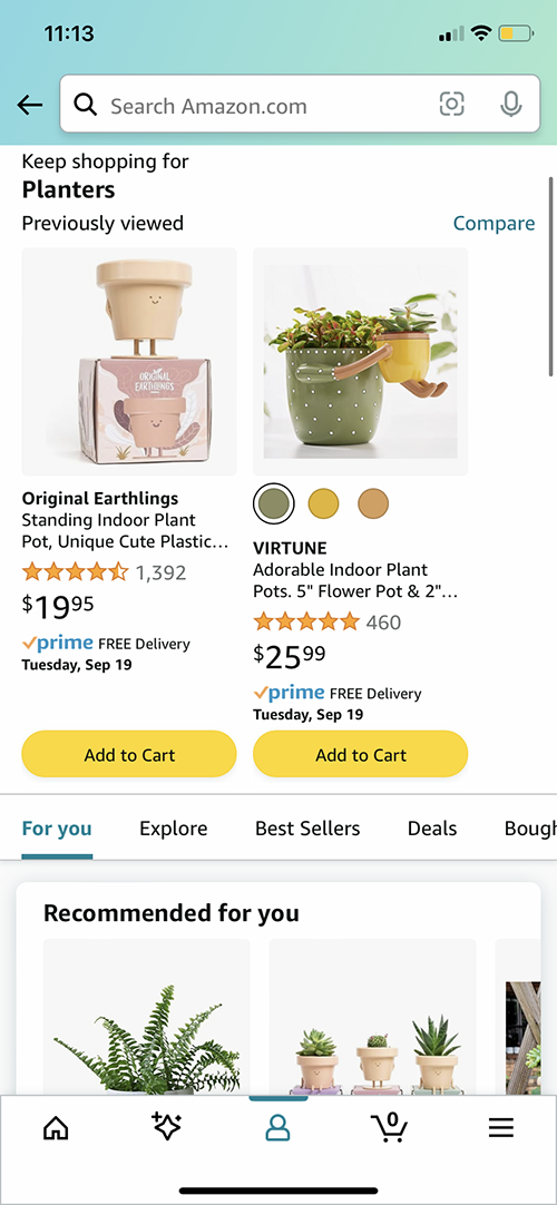 screenshot of planters on Amazon.